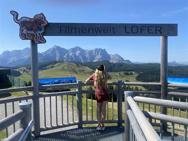 Image for: Berg- und Talfahrt Alm