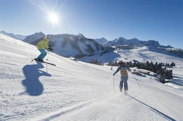 Image for: Wahlabo 3 in 6 Tage